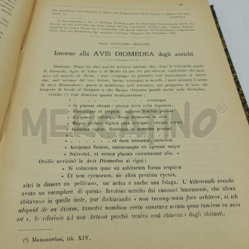 AVICULA GIORNALE ORNITOLOGICO ITALIANO 1906 | Mercatino dell'Usato Roma re di roma 4