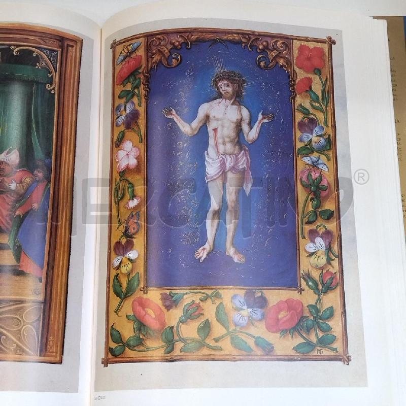 BIBLIOTECA ESTENSE MODENA NARDINI EDITORE | Mercatino dell'Usato Roma re di roma 5