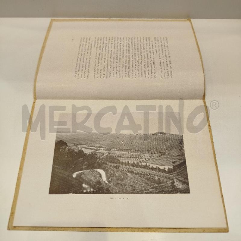 BRANCHINI NOTE VITIVINICOLE DELLA PROVINCIA DI PAVIA 1933 | Mercatino dell'Usato Roma re di roma 2
