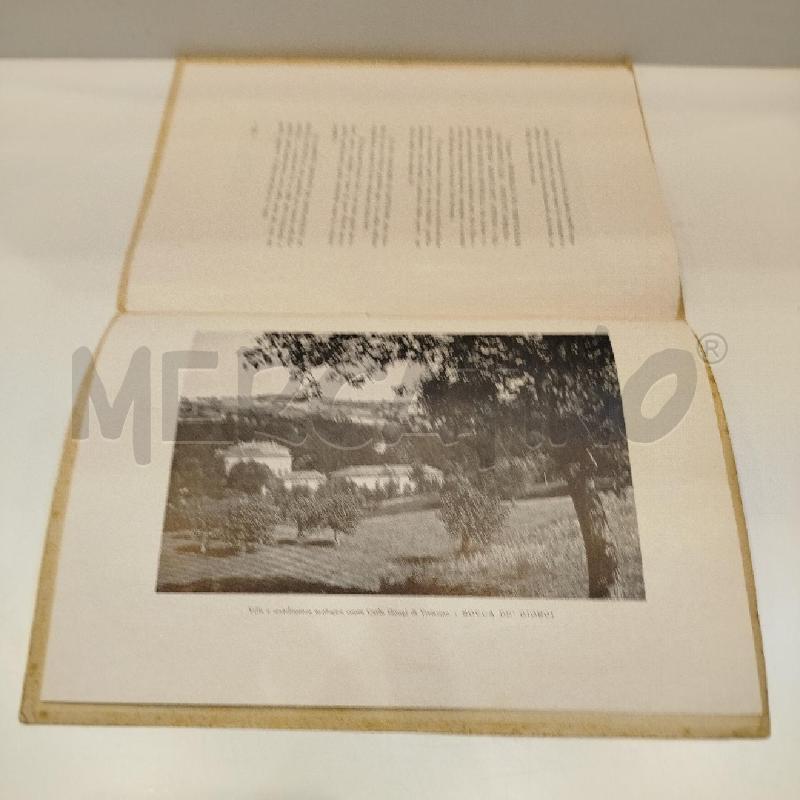 BRANCHINI NOTE VITIVINICOLE DELLA PROVINCIA DI PAVIA 1933 | Mercatino dell'Usato Roma re di roma 4