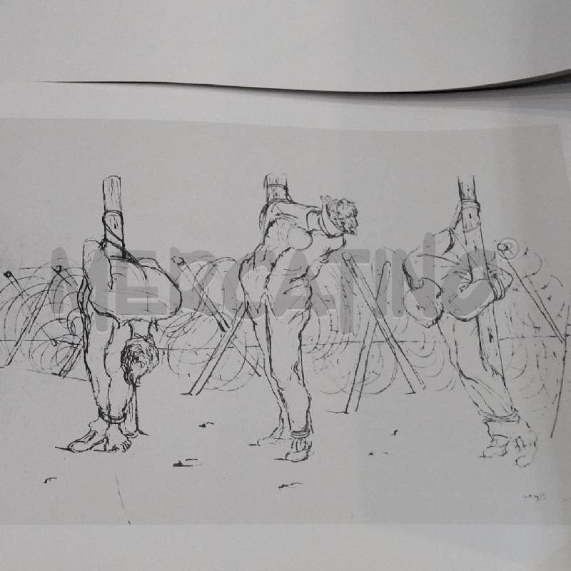 CAGLI DISEGNI PER LA LIBERTÀ COMUNE DI UMBERTIDE | Mercatino dell'Usato Roma re di roma 5