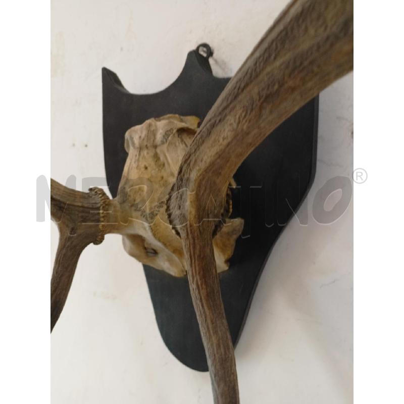 CORNA PALCO BASE LEGNO NERA | Mercatino dell'Usato Roma re di roma 4