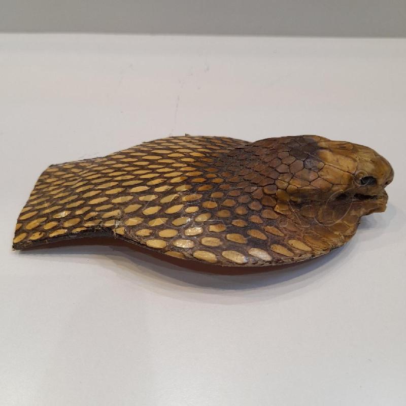 FIBBIA TESTA DI SERPENTE  | Mercatino dell'Usato Roma re di roma 1