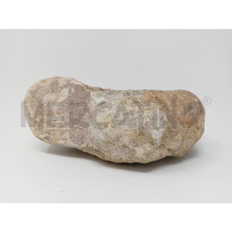 FOSSILE AMMONITE EPOCA | Mercatino dell'Usato Roma re di roma 2