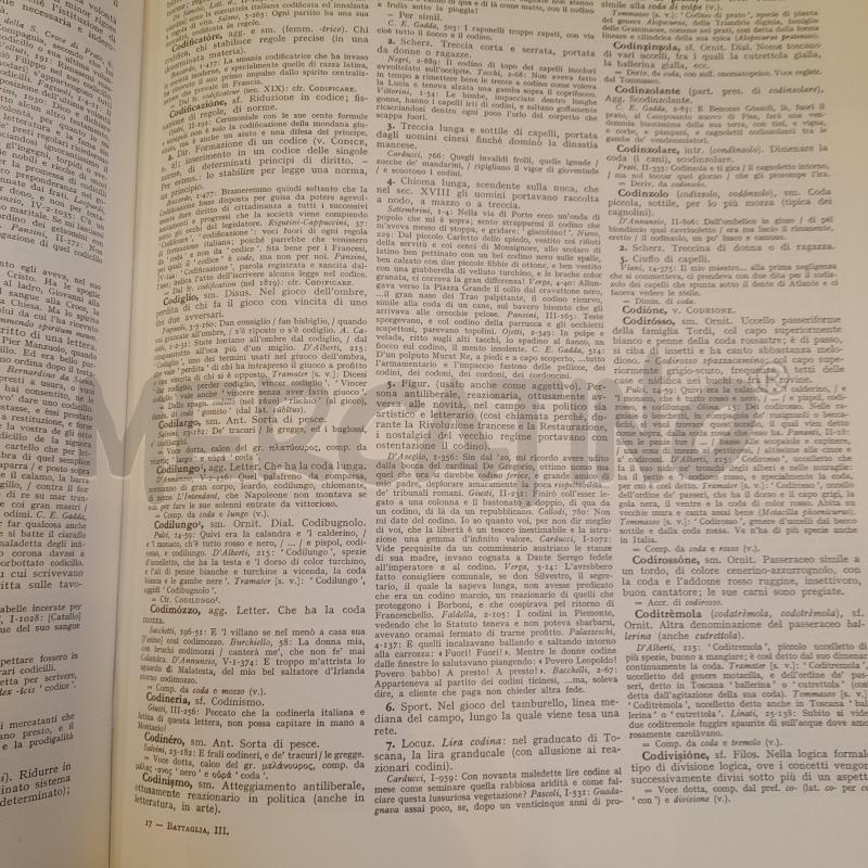 GRANDE DIZIONARIO DELLA LINGUA ITALIANA UTET 13 VOLUMI 1964 | Mercatino dell'Usato Roma re di roma 4