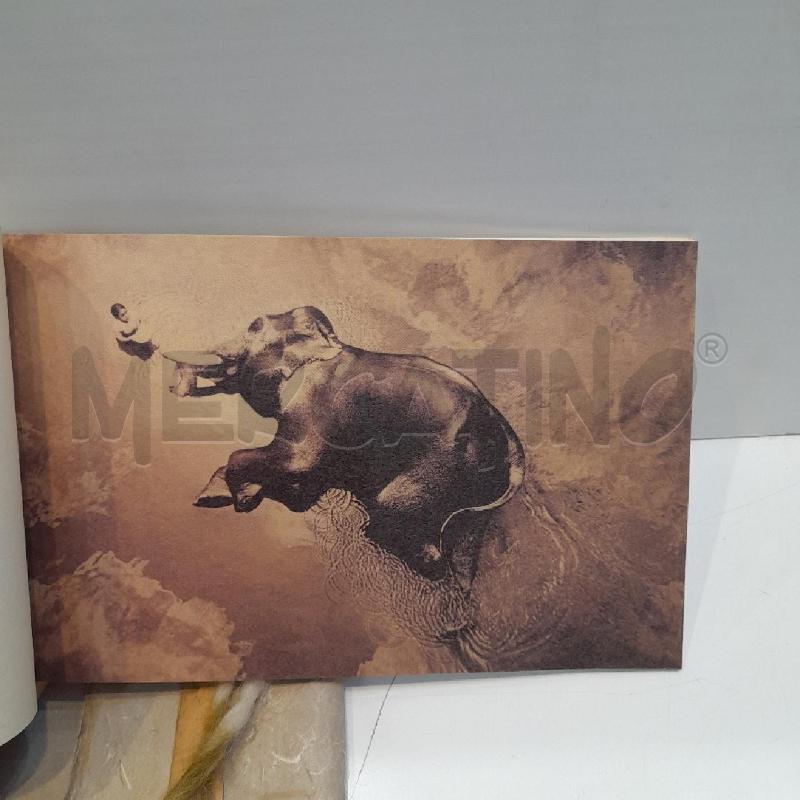 GREGORY COLBERT ASHES AND SNOW BOOK 1 | Mercatino dell'Usato Roma re di roma 5