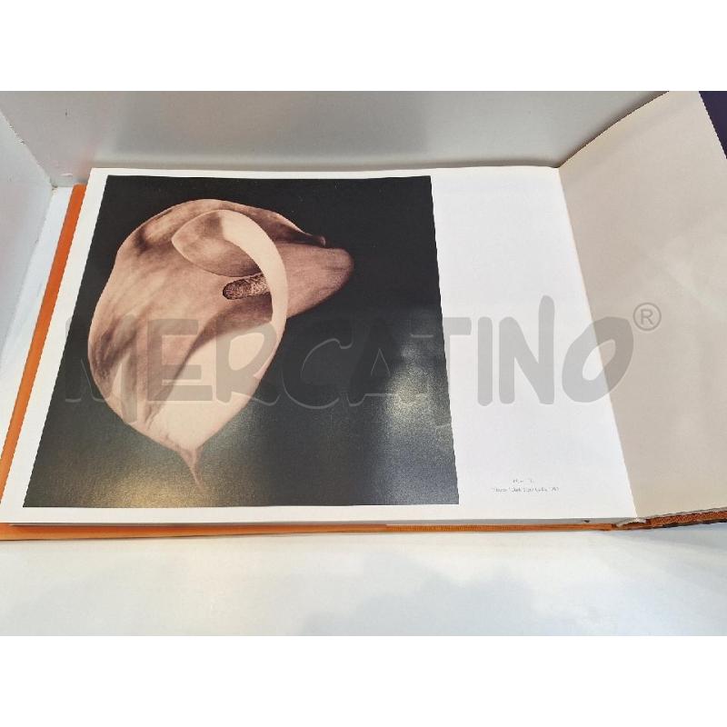 HERBERT MUSCHAMP MAPPLETHORPE THE COMPLETE FLOWERS 2006 TENEUES | Mercatino dell'Usato Roma re di roma 5
