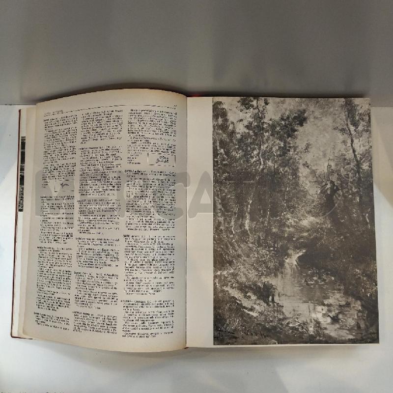 IL MERCATO ARTISTICO ITALIANO 1800-1900 EDITRICE PINACOTECA | Mercatino dell'Usato Roma re di roma 5