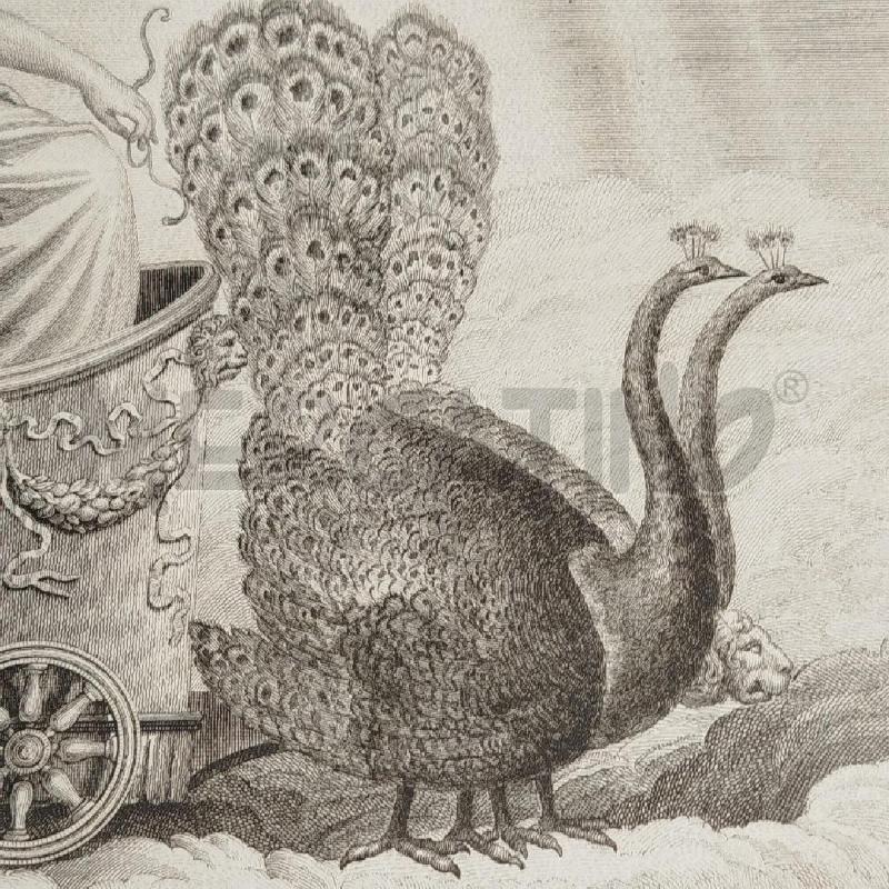 INCISIONE OTTAVIANINI 1814 ARIA MISURA 60X47 CM | Mercatino dell'Usato Roma re di roma 5