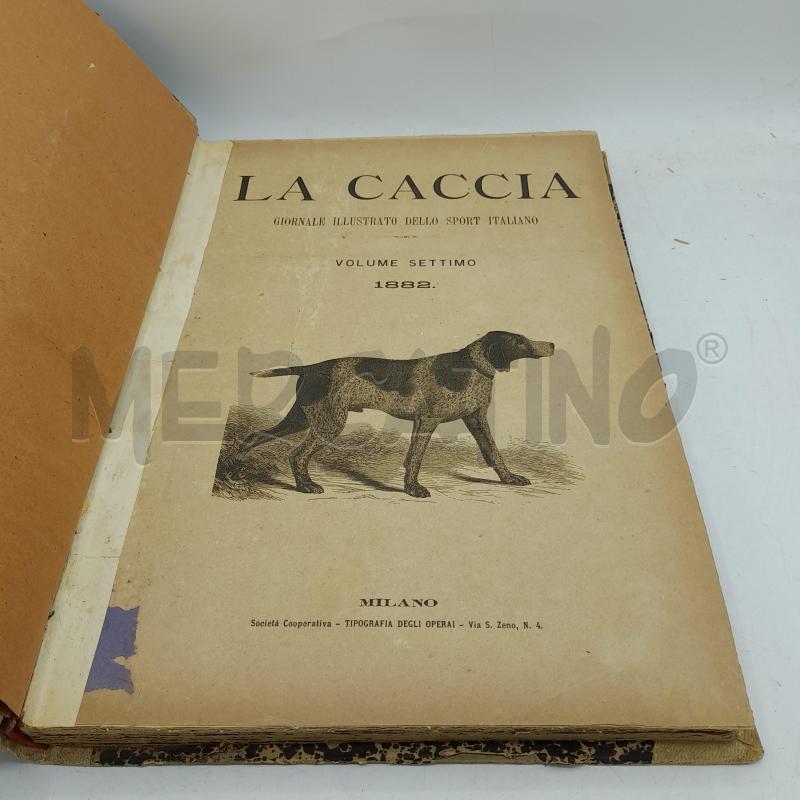 LA CACCAI VOLUME SETTIMO 1882 | Mercatino dell'Usato Roma re di roma 2