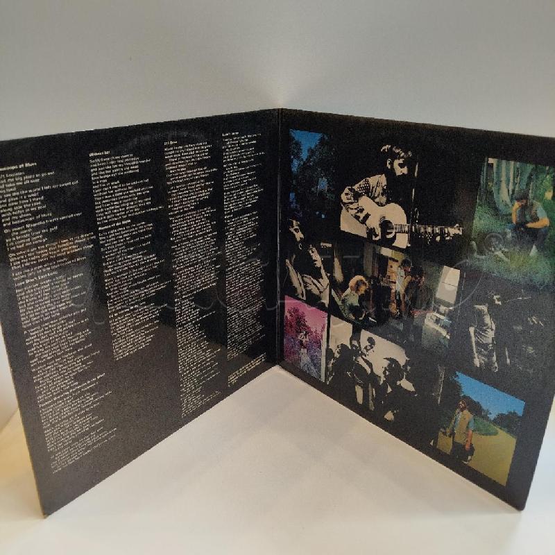 LP RINGO STARR BEAUCOUPS OF BLUES | Mercatino dell'Usato Roma re di roma 3