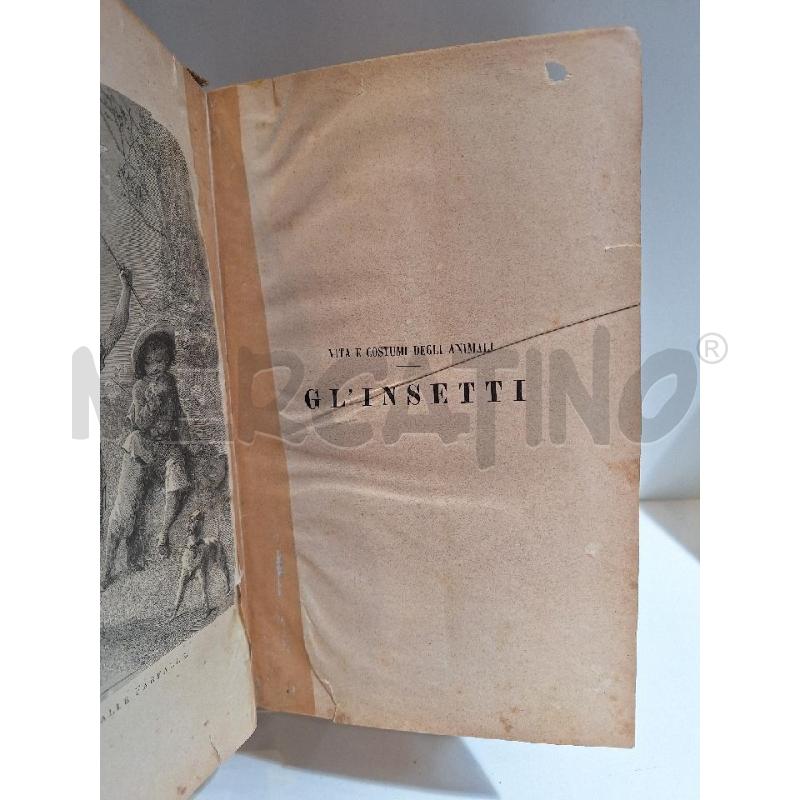 LUIGI FIGUIER VITA E COSTUMI DEGLI ANIMALI GL'INSETTI MILANO 1893 | Mercatino dell'Usato Roma re di roma 1