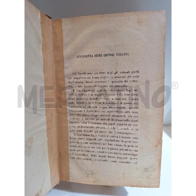 LUIGI FIGUIER VITA E COSTUMI DEGLI ANIMALI GL'INSETTI MILANO 1893 | Mercatino dell'Usato Roma re di roma 2
