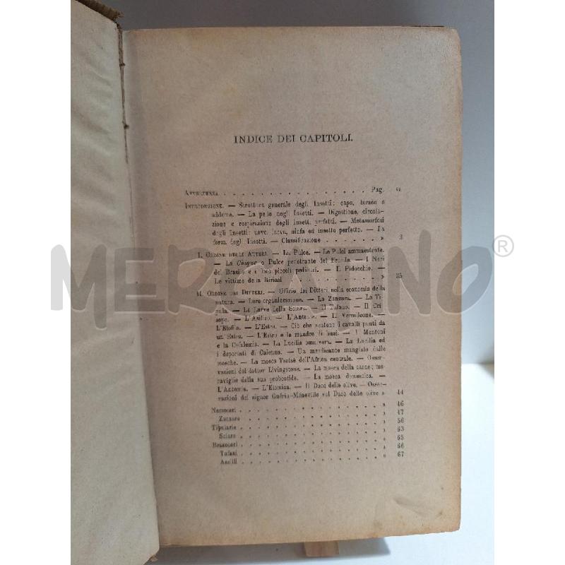 LUIGI FIGUIER VITA E COSTUMI DEGLI ANIMALI GL'INSETTI MILANO 1893 | Mercatino dell'Usato Roma re di roma 3
