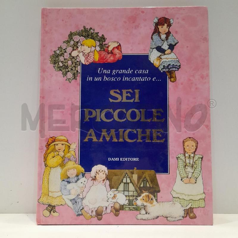 PETER HOLEINONE SEI PICCOLE AMICHE 1990 DAMI EDITORE | Mercatino dell'Usato Roma re di roma 1
