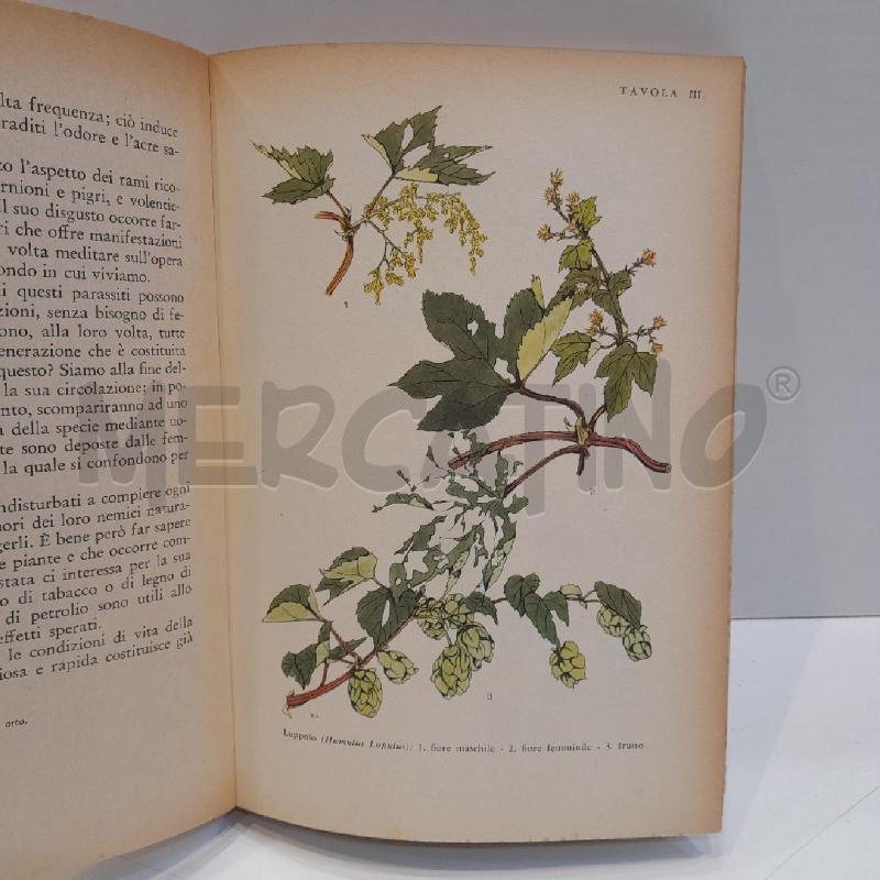 PIERINA BORANGA LA NATURA E IL FANCIULLO PARTE TERZA LE SIEPI 1952 PARAVIA | Mercatino dell'Usato Roma re di roma 5
