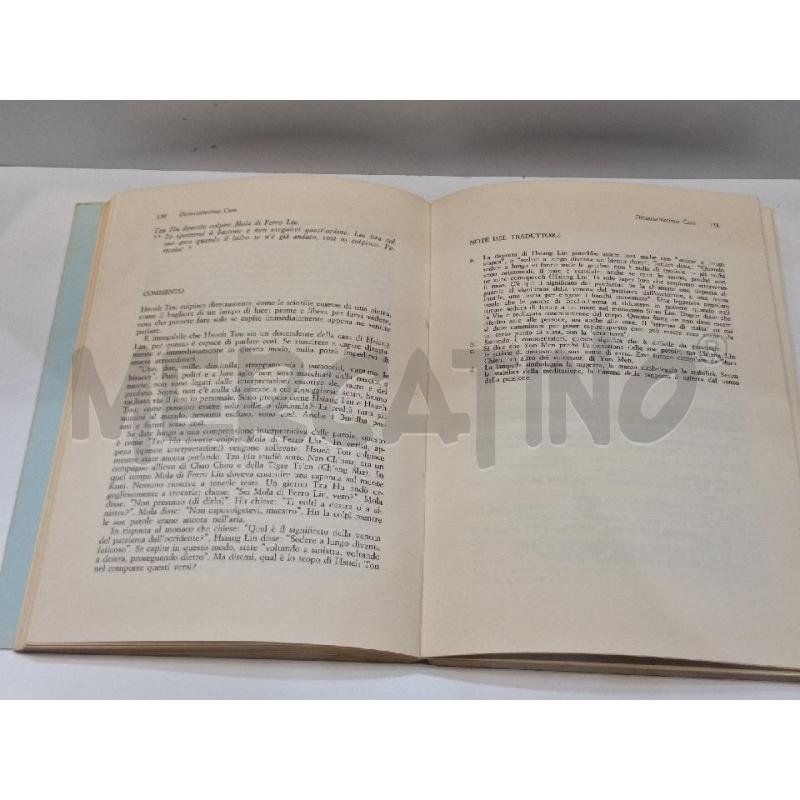 PI YEN LU LA RACCOLTA DELLA ROCCIA BLU  | Mercatino dell'Usato Roma re di roma 4