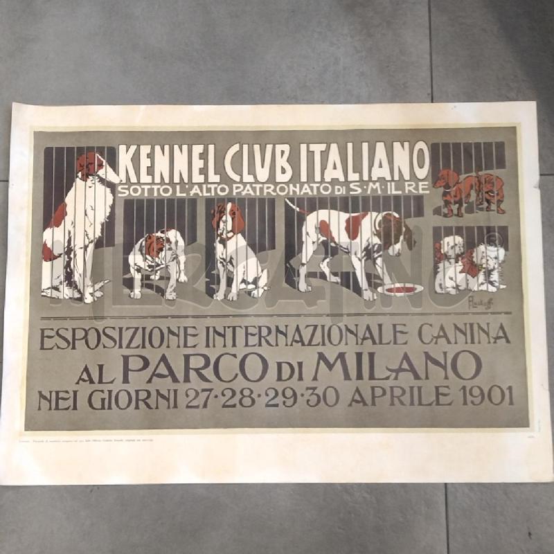 POSTER ESPOSIZIONE INTERNAZIONALE CANINA STAMPA 1901 | Mercatino dell'Usato Roma re di roma 1