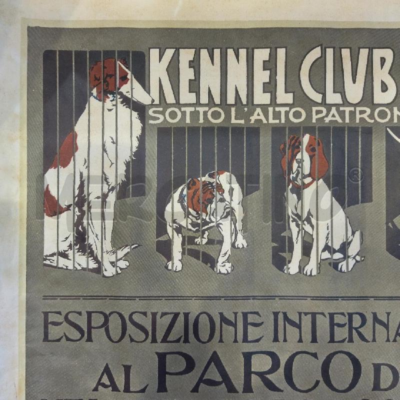 POSTER ESPOSIZIONE INTERNAZIONALE CANINA STAMPA 1901 | Mercatino dell'Usato Roma re di roma 4