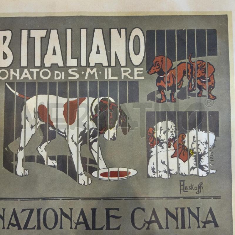 POSTER ESPOSIZIONE INTERNAZIONALE CANINA STAMPA 1901 | Mercatino dell'Usato Roma re di roma 5