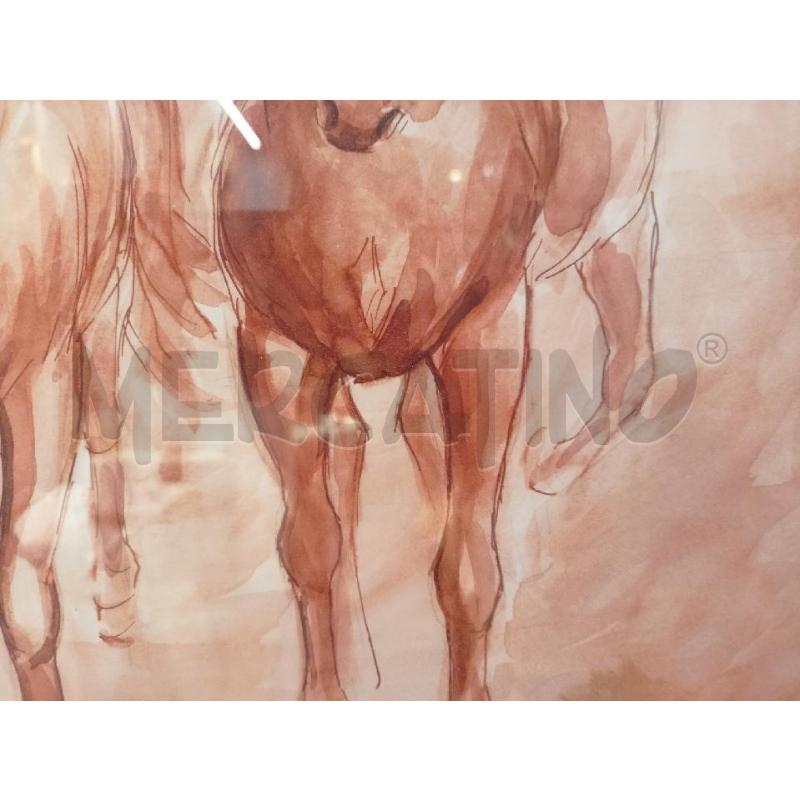 QUADRO ACQUERELLO TONI ARANCIONI 4 CAVALLI FORNTALI PASPARTU BIANCO  | Mercatino dell'Usato Roma re di roma 5