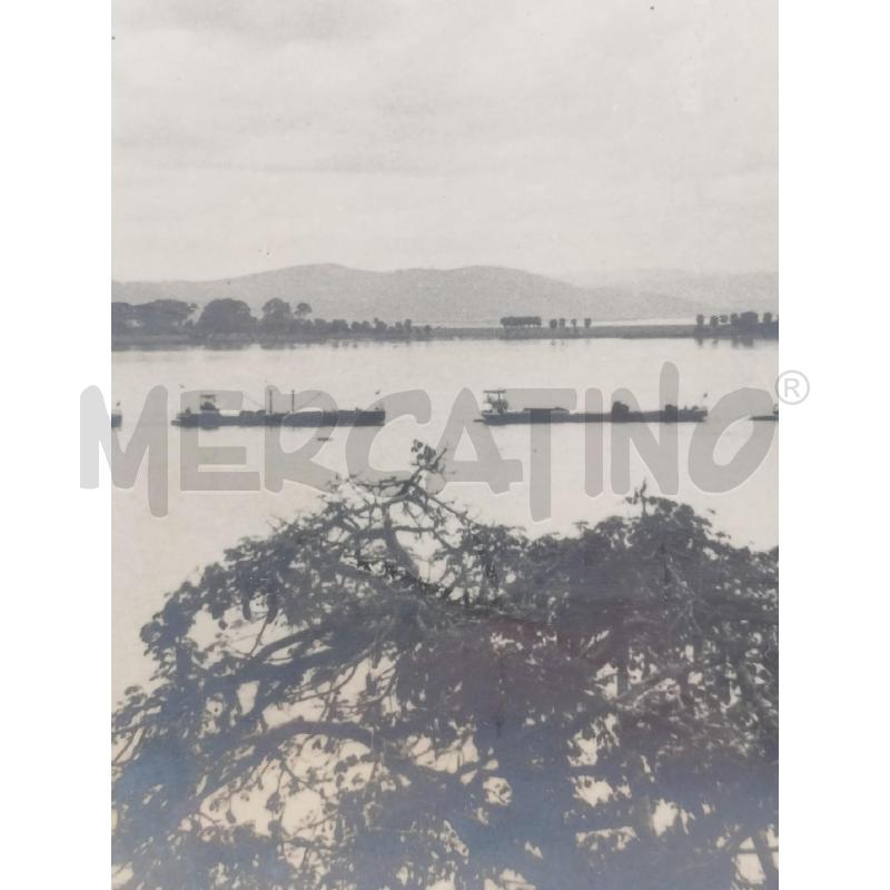 QUADRO FOTOGRAFIA RETTANGOLARE BIANCO NERO ALBERO LAGUNA BARCHE PASS BEIGE CORN LEGNO FINE   | Mercatino dell'Usato Roma re di roma 3