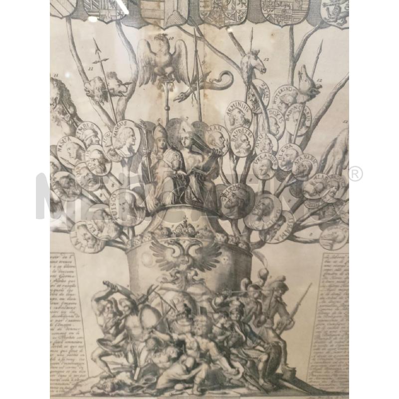 QUADRO INCISIONE ALBERO GENEALOGICO EROI GERMANICI CORNICE LEGNO | Mercatino dell'Usato Roma re di roma 4