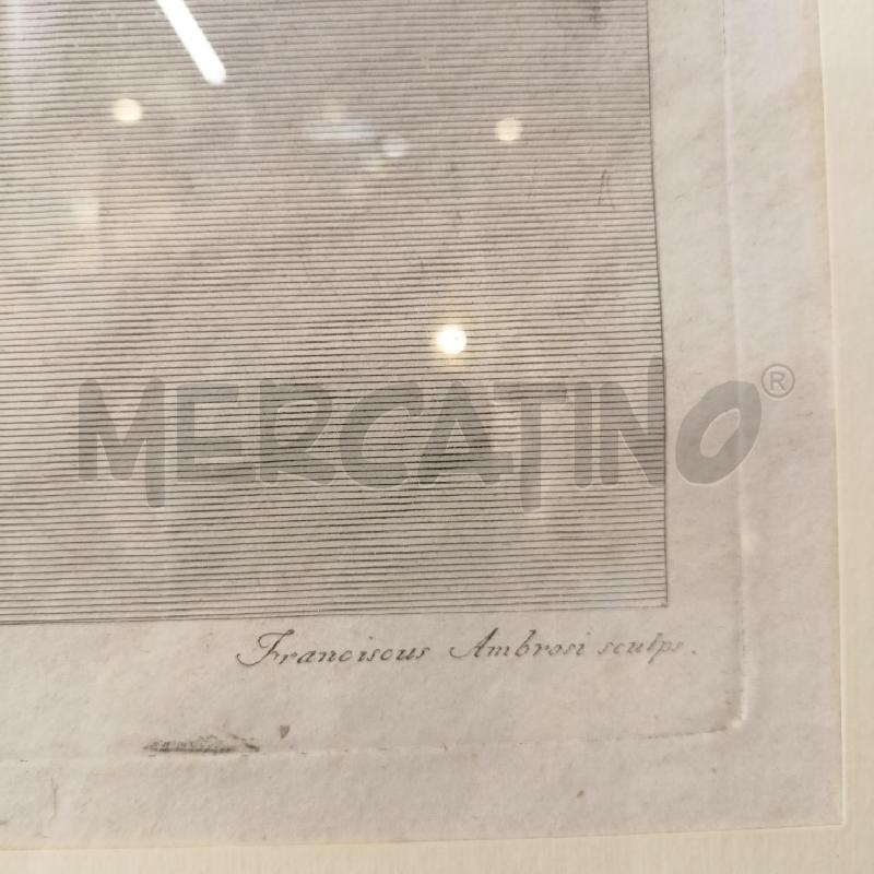 QUADRO INC ANATOMICO UTERO CORN RADICA  | Mercatino dell'Usato Roma re di roma 3