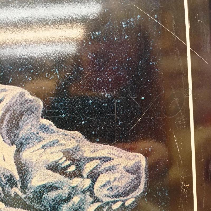 QUADRO LAMIERTA PEUGEOT LEONE SFONDO NERO  | Mercatino dell'Usato Roma re di roma 4