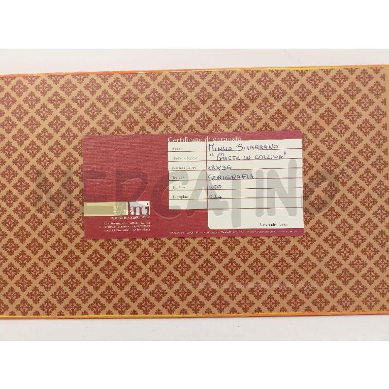 QUADRO SERIGRAFIA PAPAVERI CADETTA CORNICE LEGNO BOMBATA ARANCIONE DORATA | Mercatino dell'Usato Roma re di roma 5
