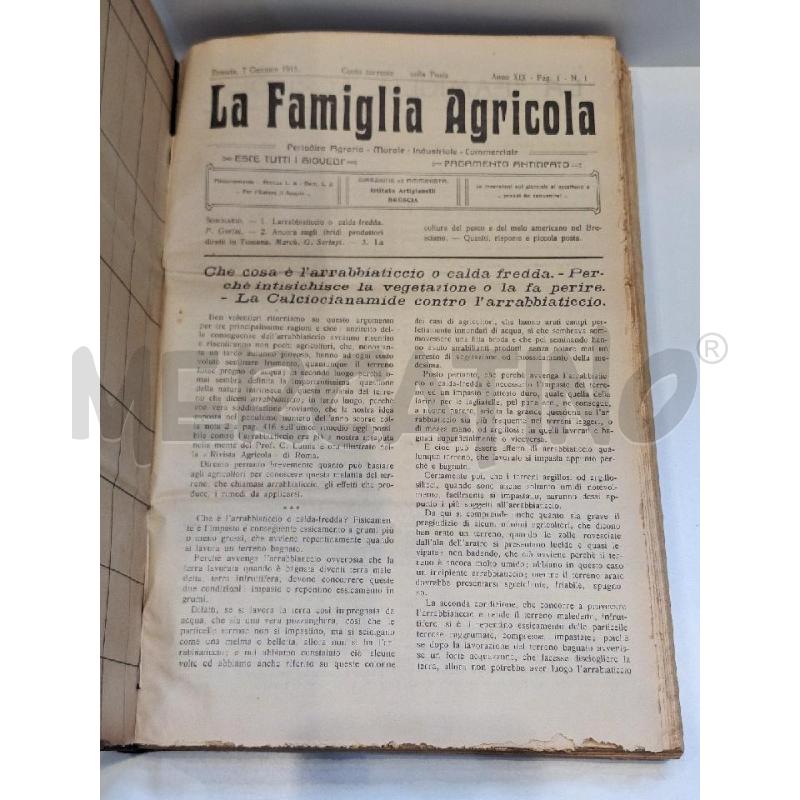 RACCOLTA RIVISTE LA FAMIGLIA AGRICOLA 1915 ANNATA COMPLETA | Mercatino dell'Usato Roma re di roma 1
