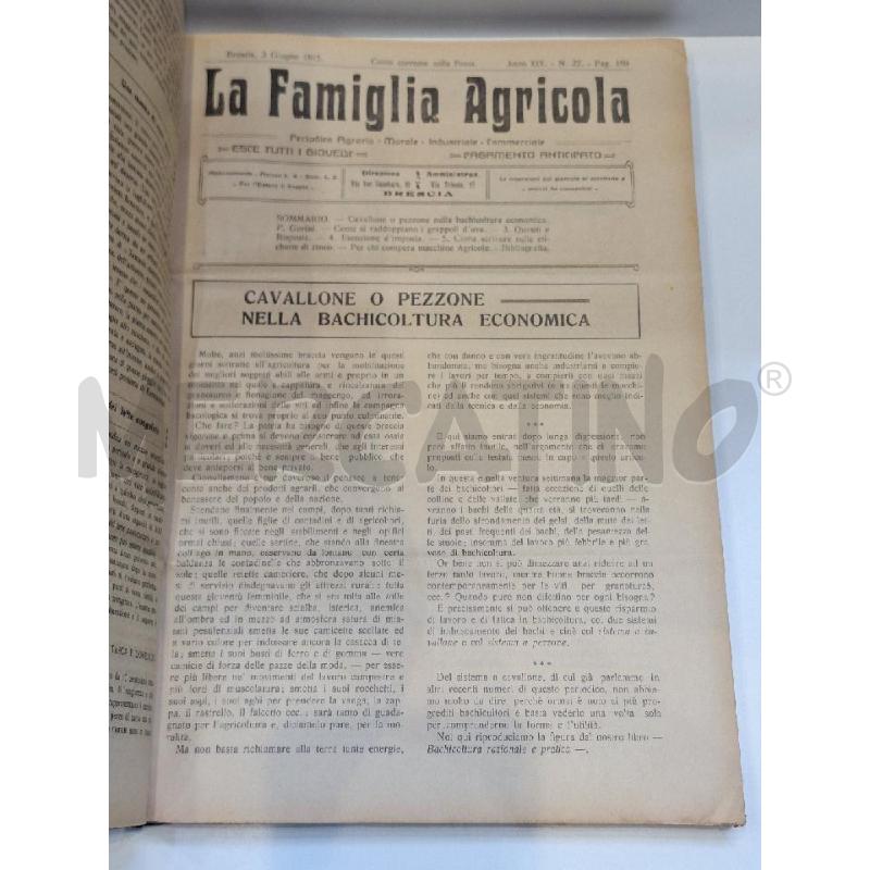 RACCOLTA RIVISTE LA FAMIGLIA AGRICOLA 1915 ANNATA COMPLETA | Mercatino dell'Usato Roma re di roma 3