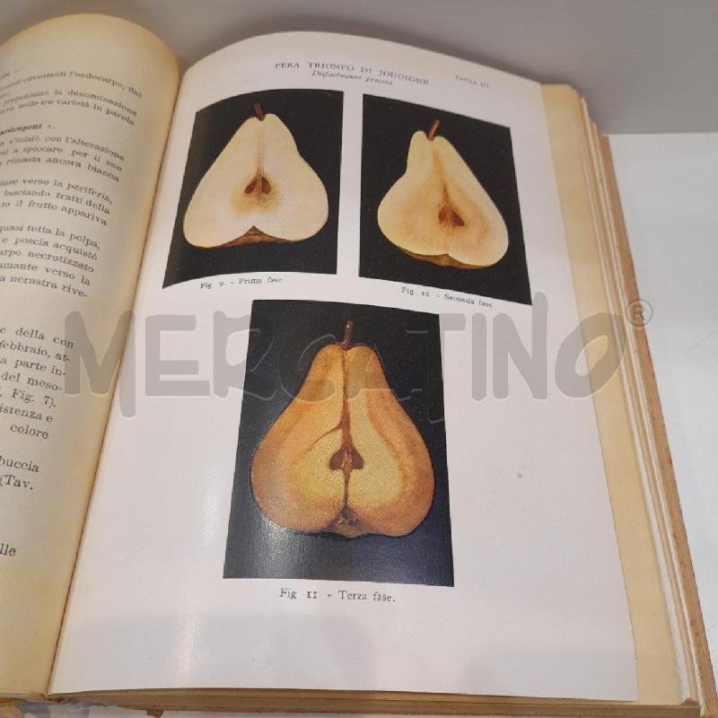 REGIA STAZIONE CHIMICO-AGRARIA DI TORINO ANNUARIO 1929-1931 | Mercatino dell'Usato Roma re di roma 5