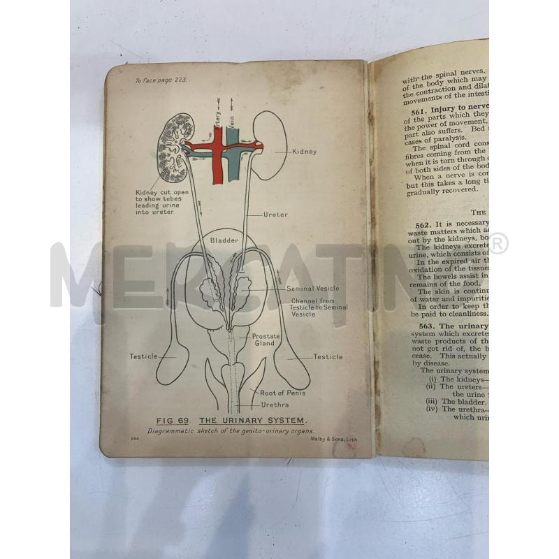 ROYAL ARMY MEDICAL CORPS TRAINING 1935 | Mercatino dell'Usato Roma re di roma 3