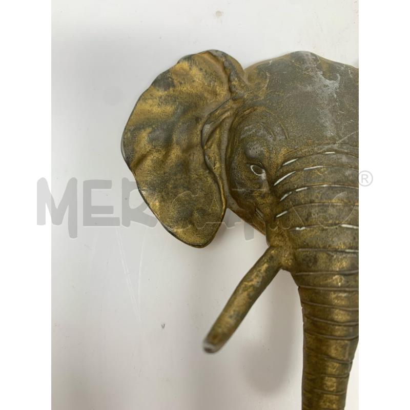 TESTA ELEFANTE 2 ZANNE OTTONE PROBOSCIDE BASSA | Mercatino dell'Usato Roma re di roma 3