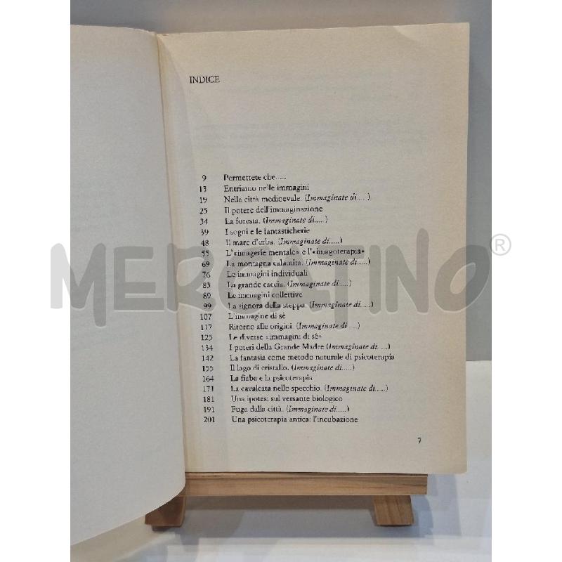 TILDE GIANI GALLINO IL FASCINO DELL'IMMAGINARIO  | Mercatino dell'Usato Roma re di roma 5