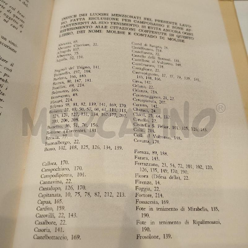 UBERTO D'ANDREA STRADE PIAZZE E CHIESE NELLA CAMPOBASSO DEGLI ANNI 1506-1806  | Mercatino dell'Usato Roma re di roma 4