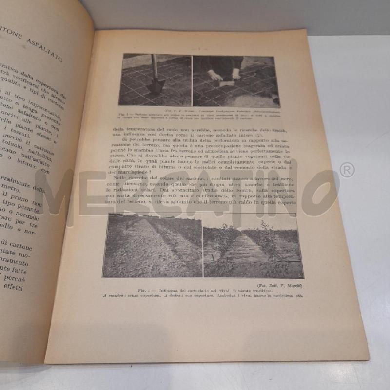 VITTORIO MARCHI ORTICULTURA SENZA IRRIGAZIONE 1929 | Mercatino dell'Usato Roma re di roma 3