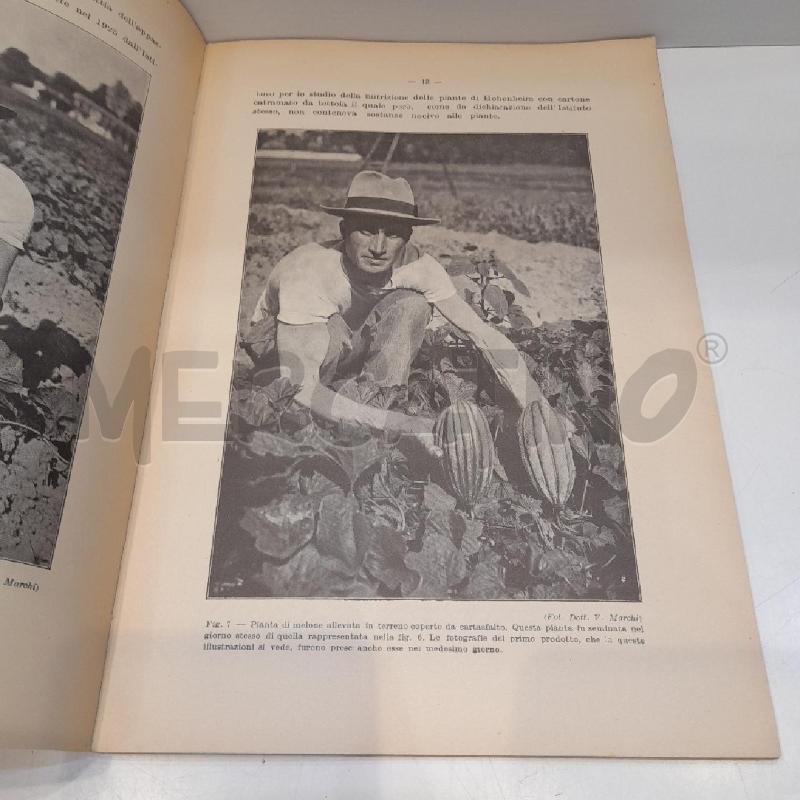 VITTORIO MARCHI ORTICULTURA SENZA IRRIGAZIONE 1929 | Mercatino dell'Usato Roma re di roma 4