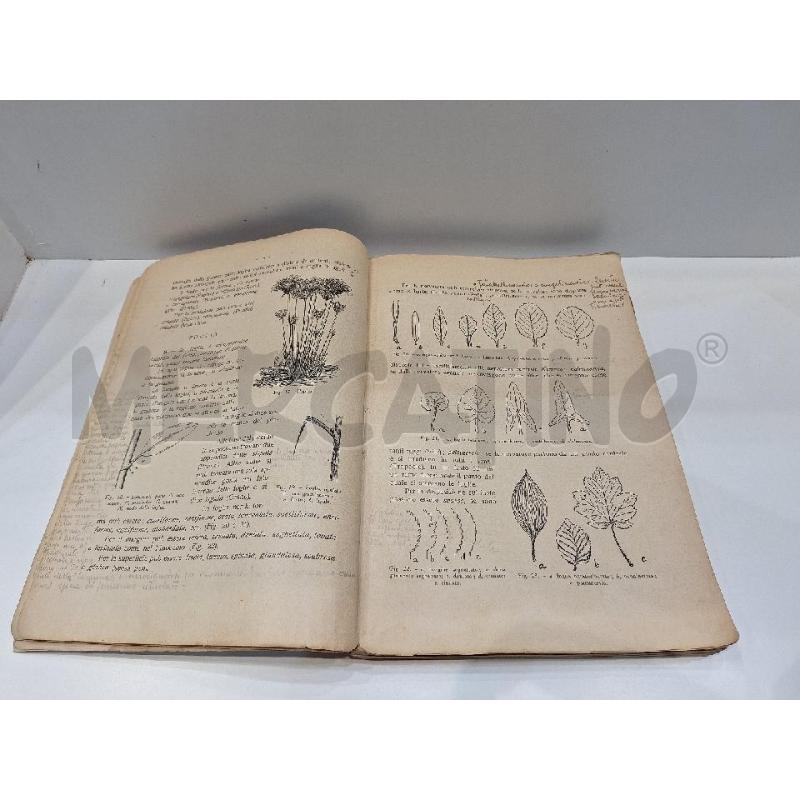 ZIRPOLO BOTANICA E ZOOLOGIA DESCRITTIVE  | Mercatino dell'Usato Roma re di roma 4