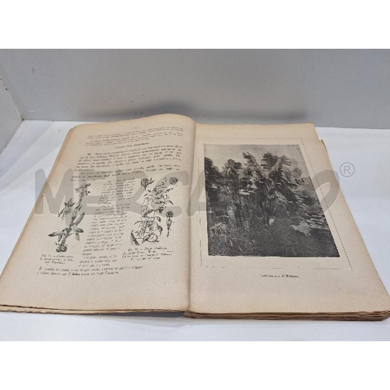 ZIRPOLO BOTANICA E ZOOLOGIA DESCRITTIVE  | Mercatino dell'Usato Roma re di roma 5