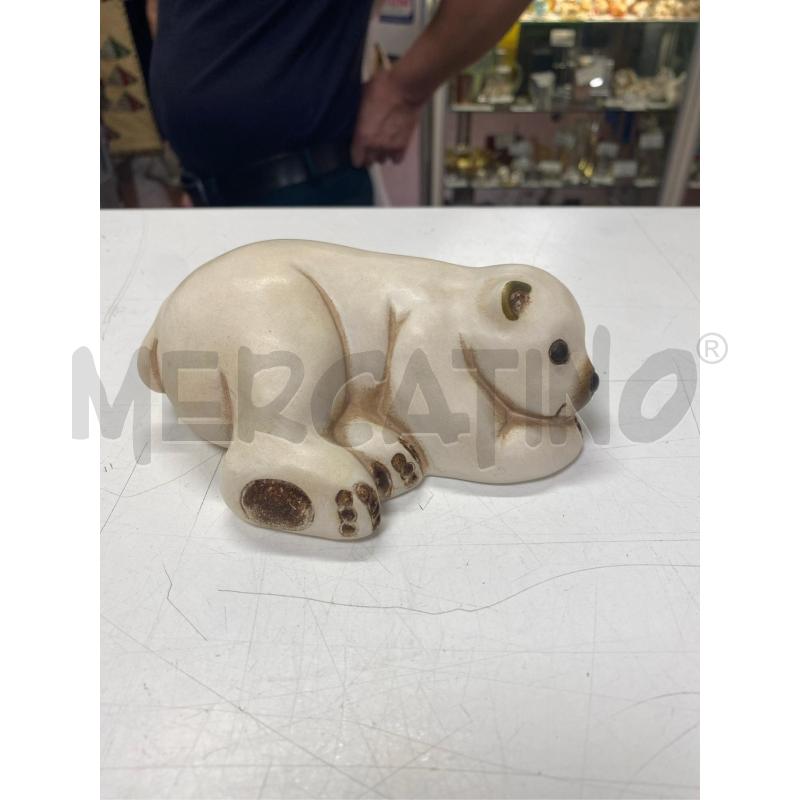 THUN ORSO POLARE SDRAIATO  | Mercatino dell'Usato Roma casalotti 1