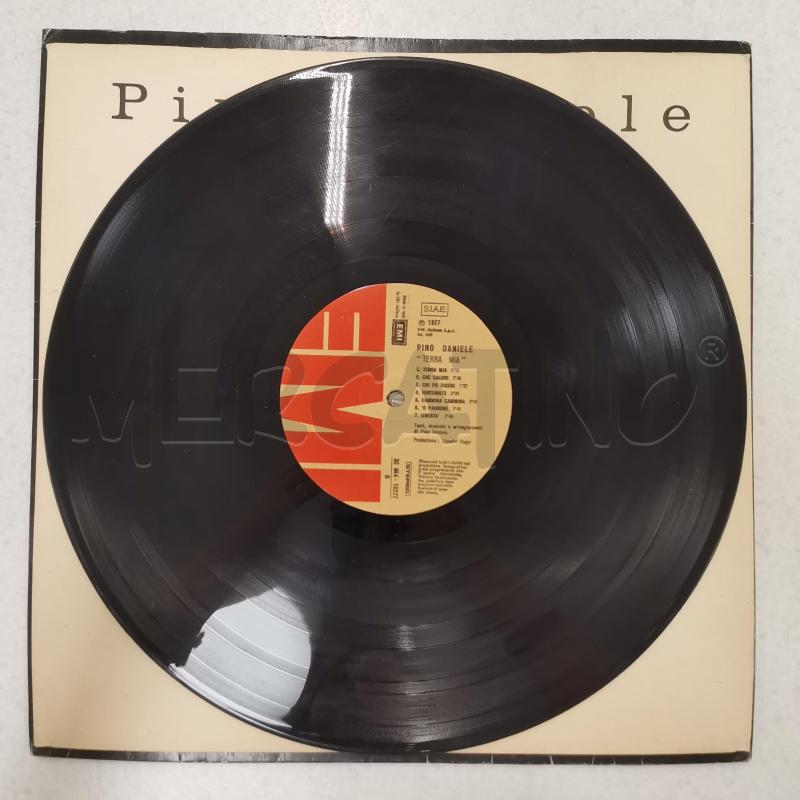 DISCO 33/G PINO DANIELE | Mercatino dell'Usato Roma torrevecchia 5