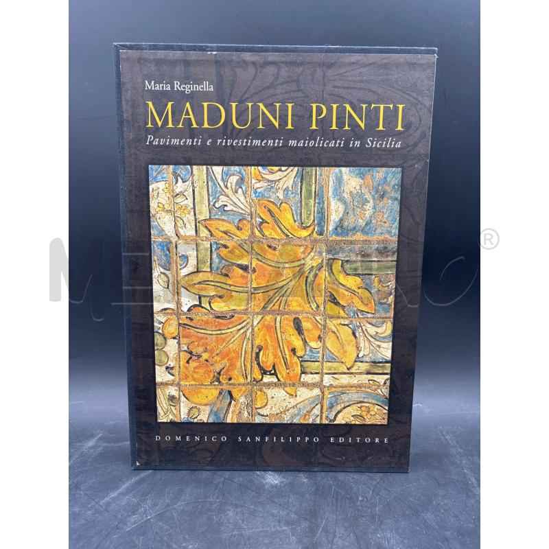 LIBRO ARTE MADUNI PINTI | Mercatino dell'Usato Roma torrevecchia 1