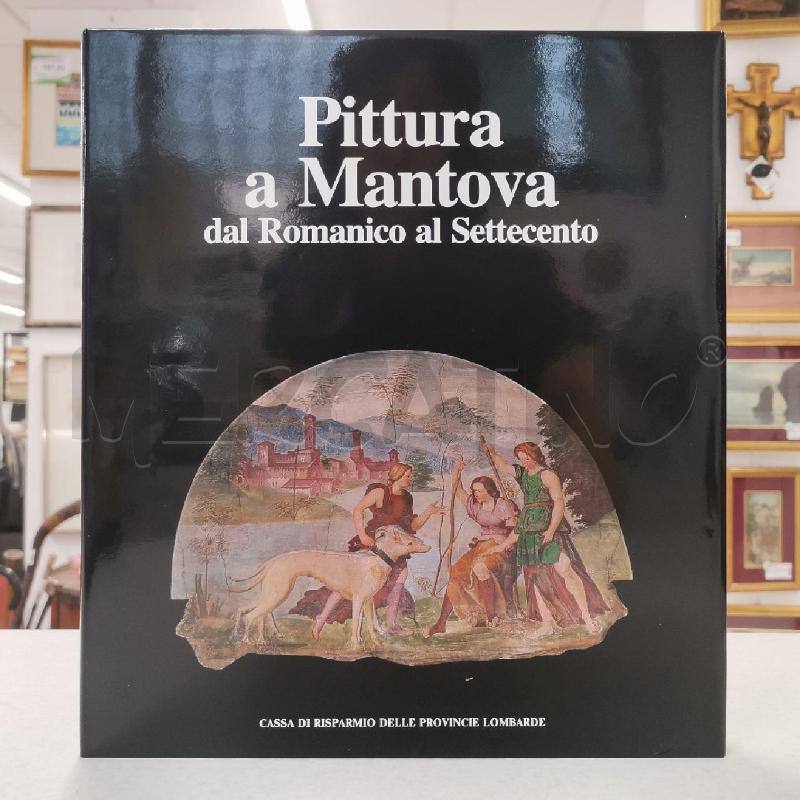 LIBRO ARTE PITTURA A MANTOVA | Mercatino dell'Usato Roma torrevecchia 1