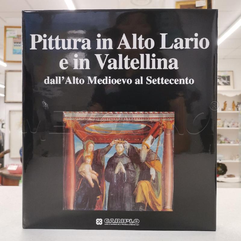 LIBRO ARTE PITTURA IN ALTO LARIO E IN VALTELLINA | Mercatino dell'Usato Roma torrevecchia 1