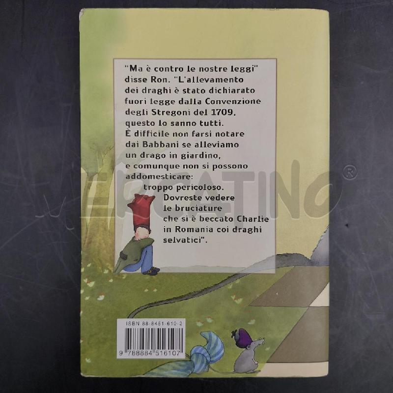 LIBRO HARRY POTTER E LA PIETRA FILOSOFALE SALANI EDITORE | Mercatino dell'Usato Roma torrevecchia 2