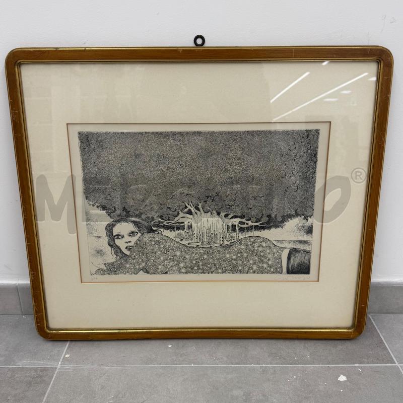QUADRO ACQUAFORTE BRUNO CARUSO SERIE ORTO BOTANICO CORNICE DORATA SMUSSATA | Mercatino dell'Usato Roma torrevecchia 1
