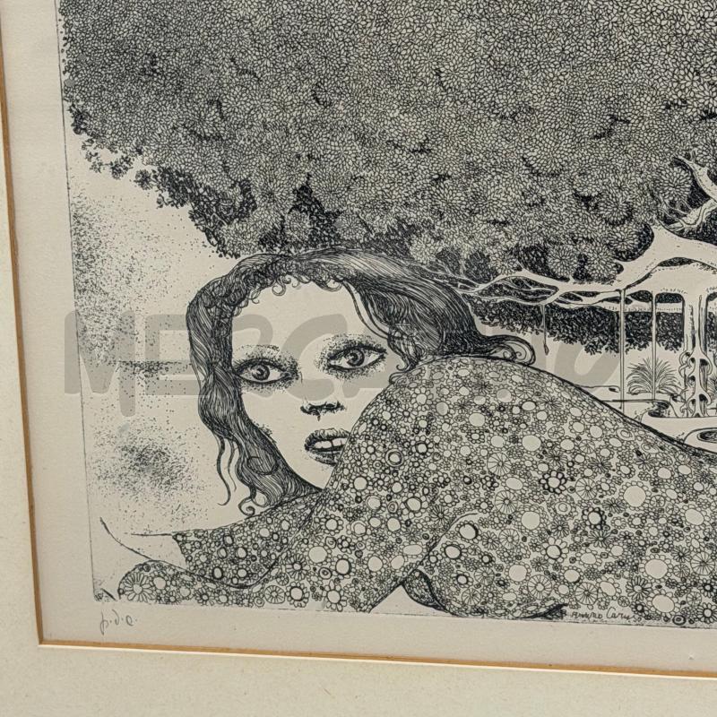 QUADRO ACQUAFORTE BRUNO CARUSO SERIE ORTO BOTANICO CORNICE DORATA SMUSSATA | Mercatino dell'Usato Roma torrevecchia 2