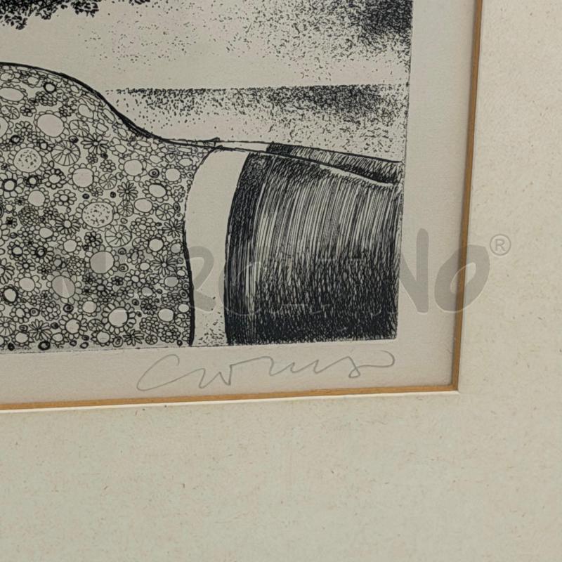 QUADRO ACQUAFORTE BRUNO CARUSO SERIE ORTO BOTANICO CORNICE DORATA SMUSSATA | Mercatino dell'Usato Roma torrevecchia 4